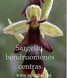 sargeliai logo.jpg: 582x683, 100k (2022 rugsėjo 06 d., 13:20)